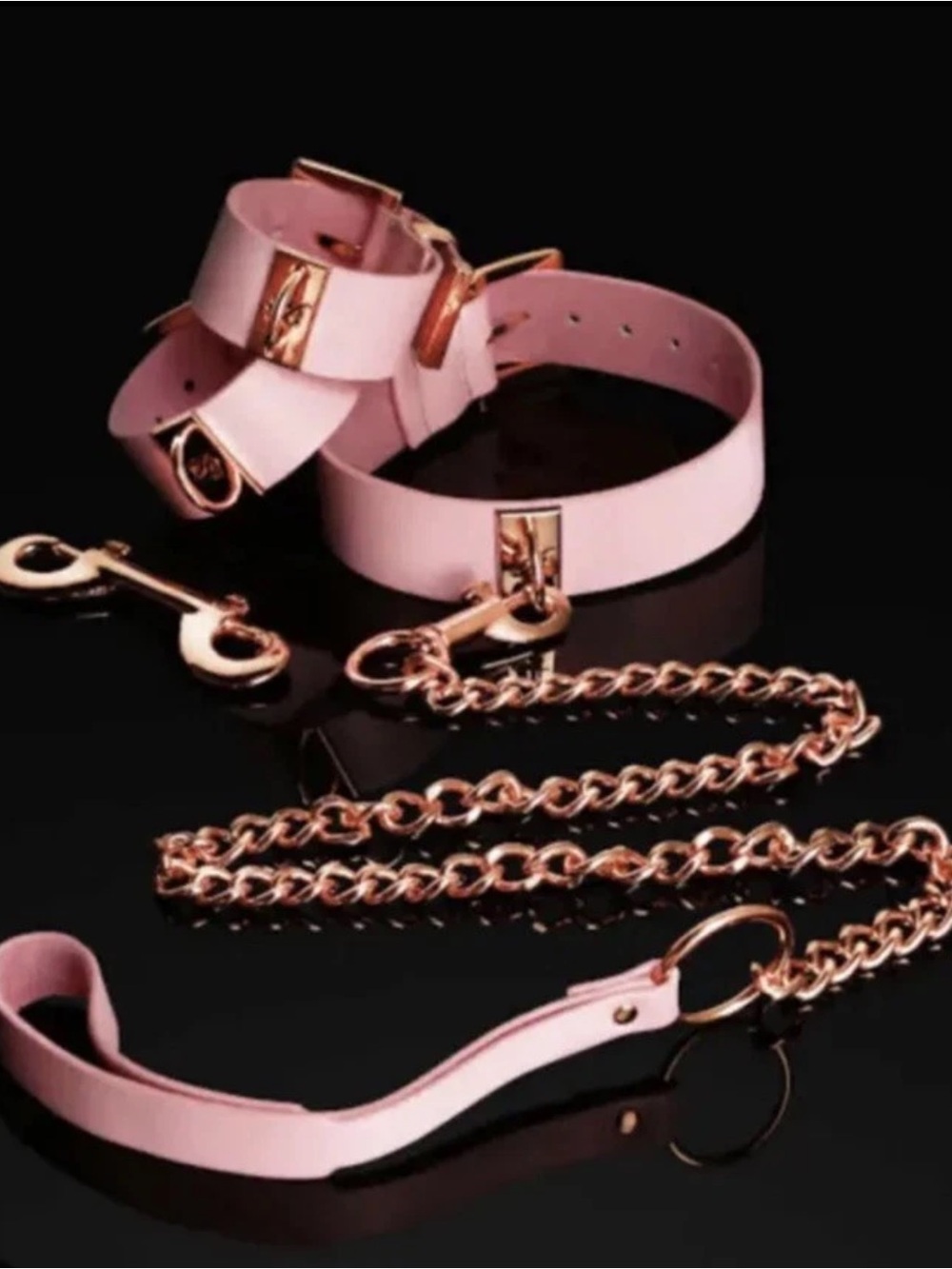 NWT Honey Birdette Pink Limited Edition Deluxe Kit Bondage Set